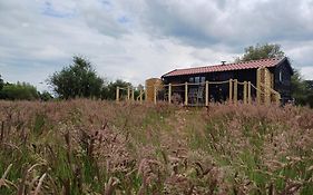 The Cabin